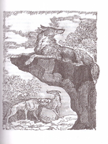 Хроники стаи. Тайный враг