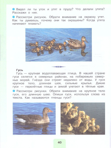 Мир природы и человека 4 класс. Учебник. В 2-х частях. ФГОС ОВЗ. Часть 2