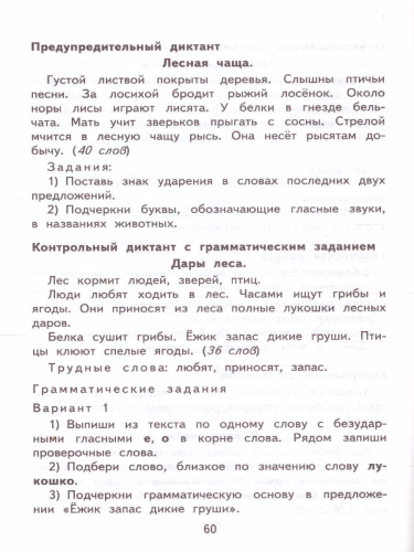 Русский язык 2 класс. Итоговая аттестация. Контрольные измерительные материалы. ФГОС