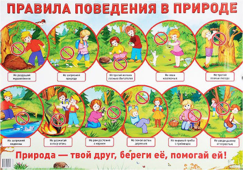 Демонстрационный плакат Правила поведения в природе /А2
