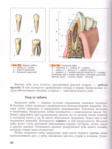 Биология 8 класс. Учебник. ФП