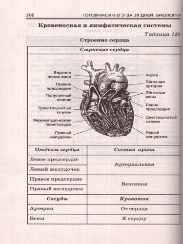 Готовимся к ЕГЭ за 30 дней. Биология