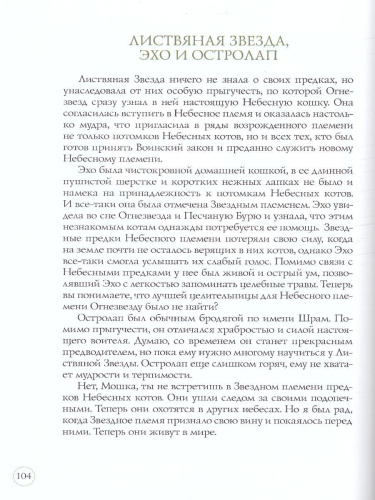 Подарок. Герои племен / Коты-воители