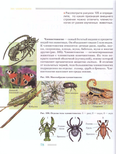 Биология 8 класс. Животные