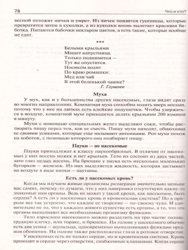 Поурочные разработки по курсу "Окружающий мир" 1 класс. К УМК Плешакова (Школа России). ФГОС