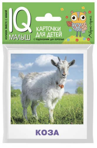 Умный малыш Домашние животные