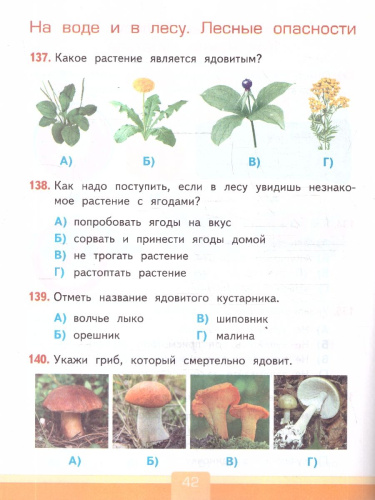 Окружающий мир 2 класс. Тесты. К учебнику А. А. Плешакова. ФГОС Новый