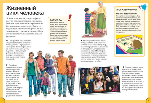 Всё о теле человека. Энциклопедия