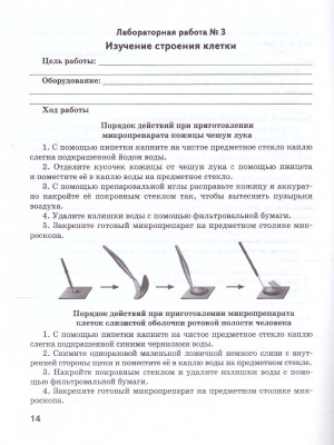 65664284-4