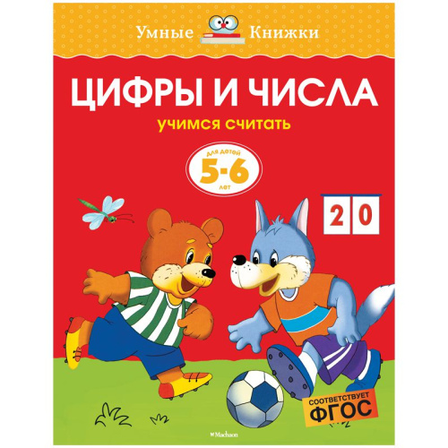 Цифры и числа 5-6 лет
