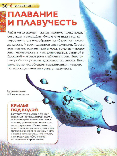 Животные
