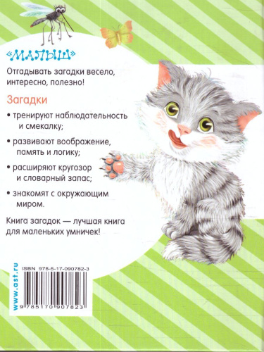 Книга загадок