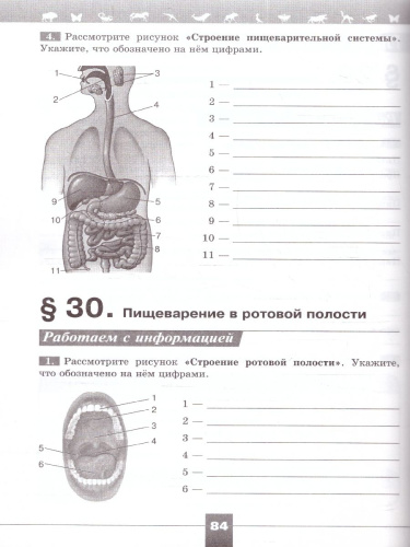 Биология 9 класс. Рабочая тетрадь. УМК "Линия жизни". ФГОС