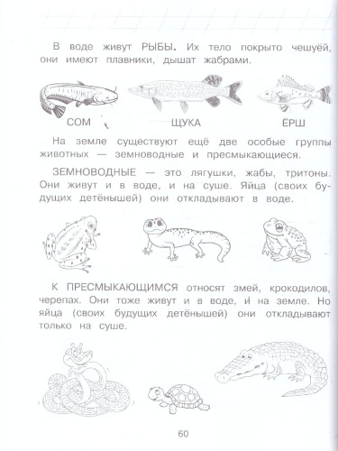 Изучаю мир вокруг. Для детей 6-7 лет. Ломоносовская школа. ФГОС