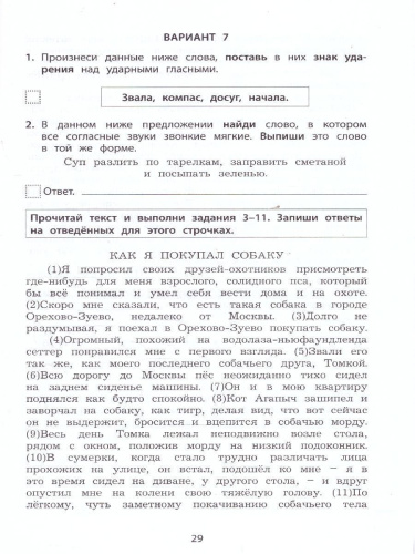 Русский язык 4 класс. 10 вариантов итоговых работ для подготовки к ВПР