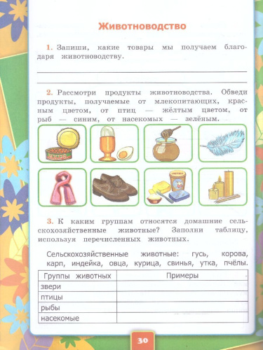 Окружающий мир 3 класс. Рабочая тетрадь. Часть 2. К новому учебнику. УМК Плешакова. ФГОС НОВЫЙ