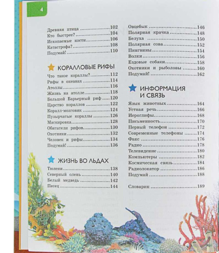 Новая энциклопедия для любознательных (нов.оф.)