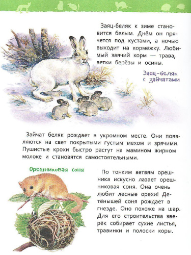 В лесу