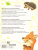 Тесты для детей 4-5 лет /ТестыДляМалышей