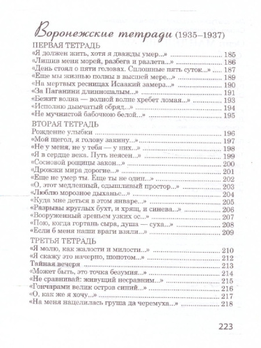 Я вернулся в мой город… Великая поэзия