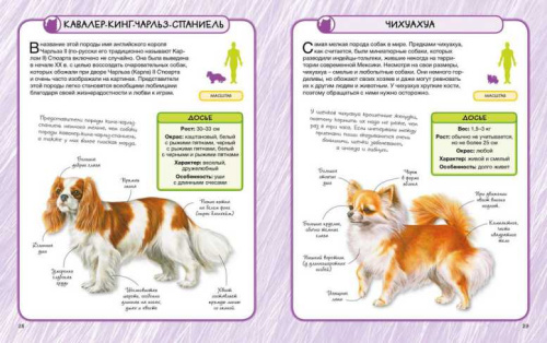 Собаки. Практическая энциклопедия. 50 шагов в мир знаний