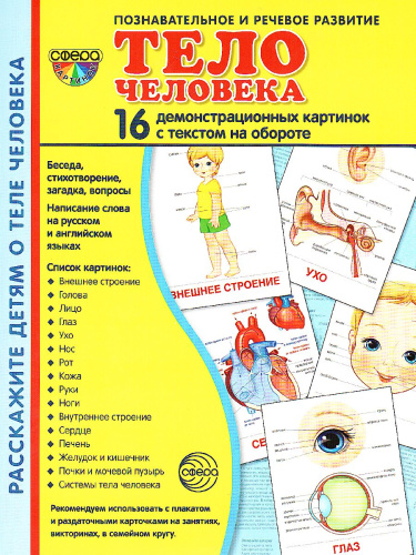 Демонстрационные картинки СУПЕР. Тело человека. 16 демонстрационных картинок с текстом 173х220 мм