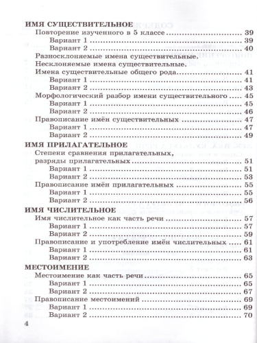 Русский язык 6 класс. Самостоятельные работы. ФГОС
