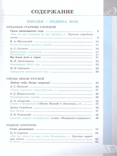 Родная русская литература. 9 класс. Учебник (ФП2022)