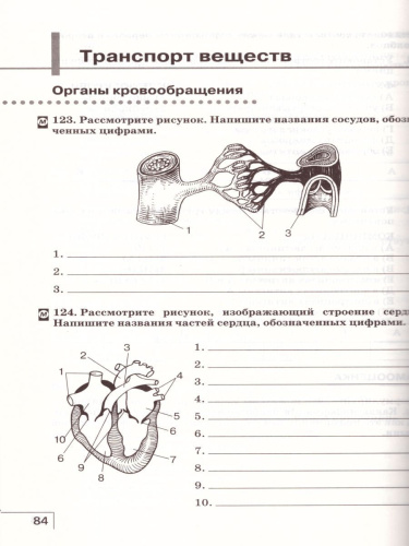 Биология 9 класс. Рабочая тетрадь. Вертикаль. ФГОС