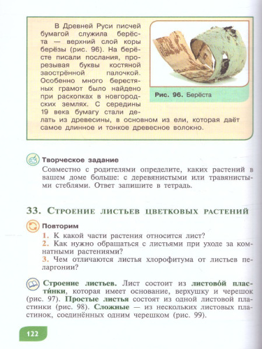 Технология 6 класс. Цветоводство и декоративное садоводство (для обучающихся с интеллектуальными нарушениями)