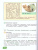 Технология 6 класс. Цветоводство и декоративное садоводство (для обучающихся с интеллектуальными нарушениями)