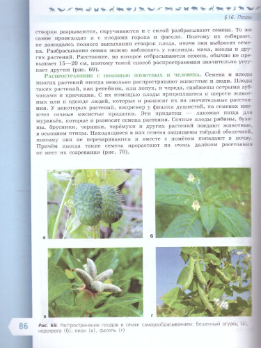 Биология 6 класс. Базовый уровень. Учебник. УМК "Линия жизни" (ФП2022)