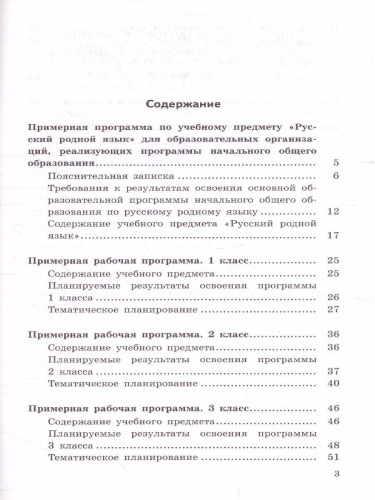 Русский родной язык 1-4 класс. Примерные рабочие программы