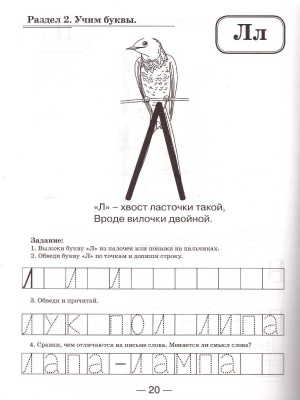 55595953-3