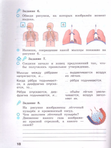 Вахрушев Окружающий мир 3 кл. Рабочая тетрадь в 2-х ч. Ч.2 (Бином)