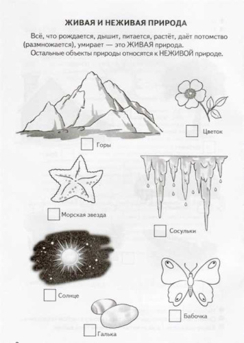 Знакомимся с окружающим миром 5-6 лет