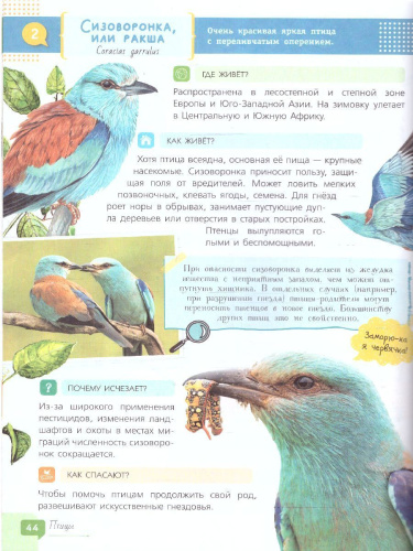 Красная книга для детей /Красная книга нашей планеты