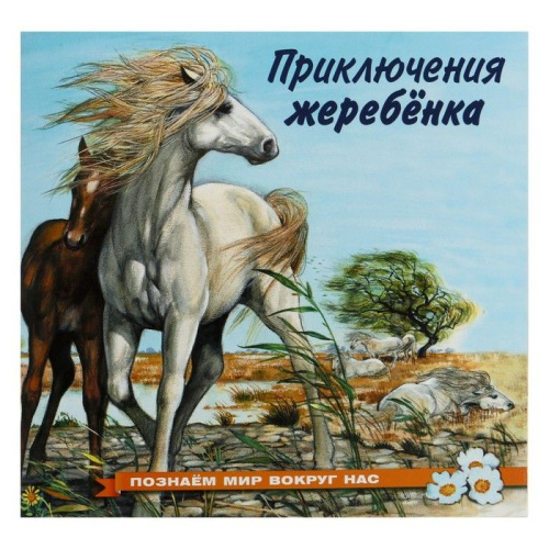 Познаем мир вокруг нас / Приключения жеребенка