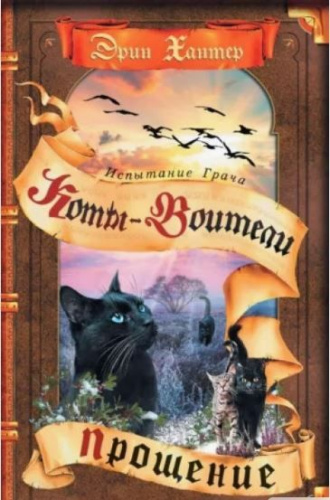 Хантер. Коты воители. Испытание Грача. Прощение