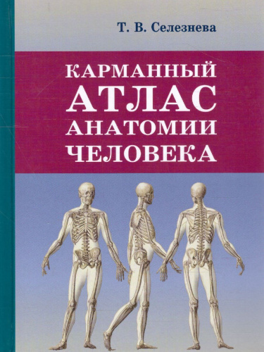 Карманный атлас анатомии человека
