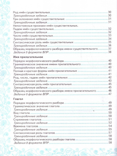 Русский язык 5 класс. Тренажер. Все виды разбора. ФГОС Новый
