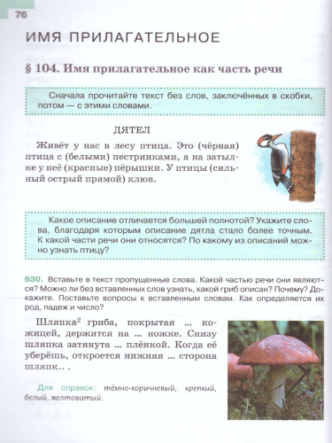 Русский язык 5 класс. Учебник в 2-х частях. Часть 2 (ФП2022)
