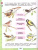 Набор из 5 комплектов. Окружающий мир 3 класс. Рабочая тетрадь в 2-х частях.