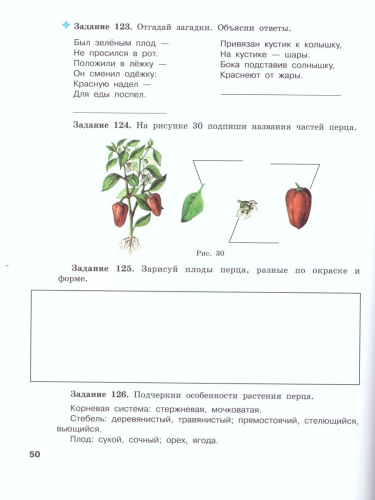 Биология 7 класс. Растения. Бактерии. Грибы. Рабочая тетрадь. Для специальных (коррекционных) образовательных учреждений VIII вида