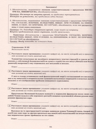 Русский язык 11 класс. Практикум по орфографии и пунктуации. Готовимся к ЕГЭ