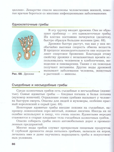 Биология 5 класс. Базовый уровень. Учебное пособие. ФГОС