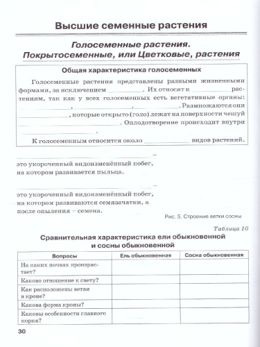 Биология 6 класс. Рабочая тетрадь. Растения. Бактерии. Грибы. Лишайники. К учебнику Трайтака