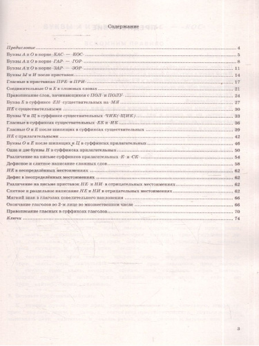 Русский язык 6 класс. Пишем без ошибок. Тренажер. Супертренинг. ФГОС Новый