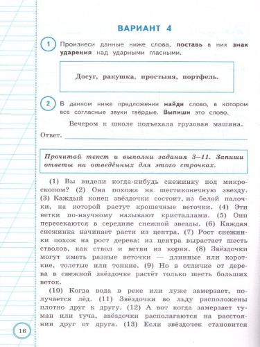 ВПР Русский язык 3 класс. Практикум. 10 вариантов. ФГОС Новый