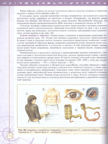 Биология 11 класс. Углубленный уровень. Учебное пособие. ФГОС